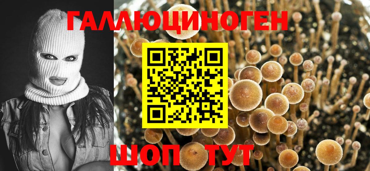 Галлюциногенные грибы Magic Shrooms Кудрово