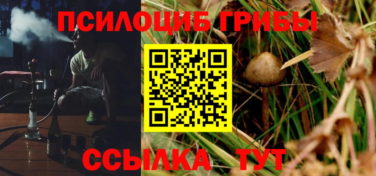 Псилоцибиновые грибы MAGIC MUSHROOMS  Вход с VPN  Кудрово  Псилоцибиновые грибы ЛСД 